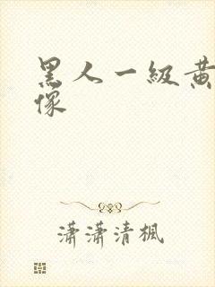 黑人一级黄色录像