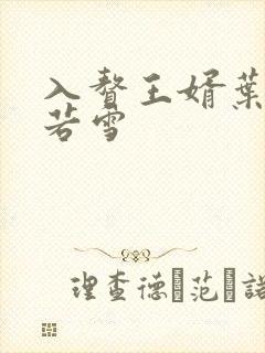 入赘王婿叶凡唐若雪