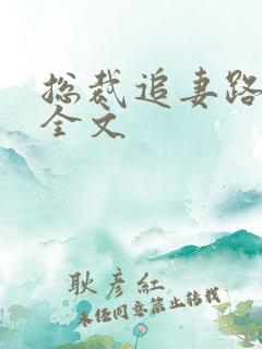 总裁追妻路漫漫全文