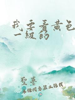 我要看黄色录像一级的