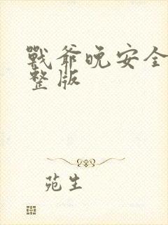 战爷晚安全集完整版