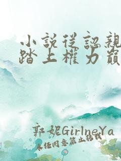 小说从认亲开始踏上权力巅峰