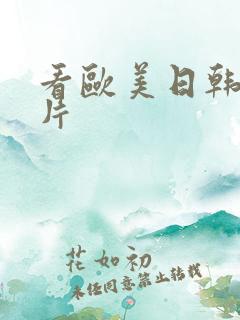 看欧美日韩一级片