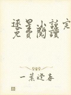逐星小说完整版免费阅读
