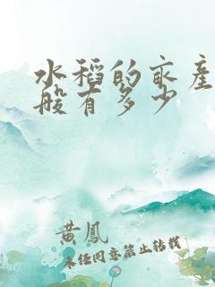水稻的亩产量一般有多少