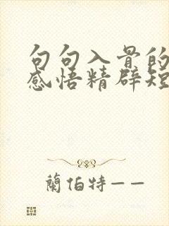句句入骨的人生感悟精辟短句
