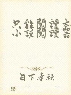 只能阅读本地的小说阅读器