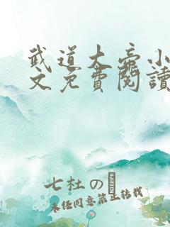 武道大帝小说全文免费阅读下载