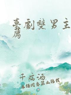 台剧双男主剧推荐
