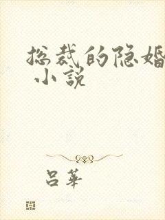 总裁的隐婚罪妻 小说