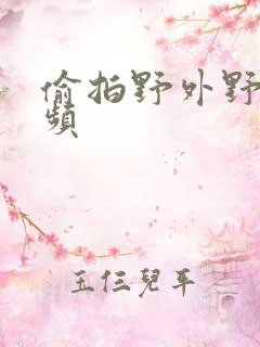 偷拍野外野战视频