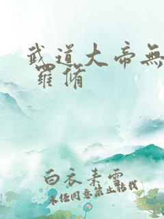 武道大帝无弹窗 罗修