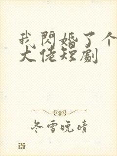 我闪婚了个财阀大佬短剧