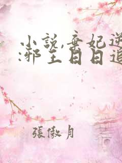 小说,弃妃逆袭:邪王日日追妻忙
