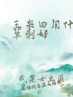 玉米田用什么除草剂好