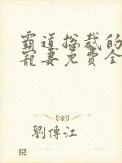 霸道总裁的二婚宠妻免费全文阅读