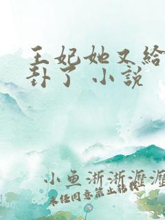 王妃她又给人算卦了 小说