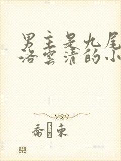 男主是九尾狐叫洛云清的小说
