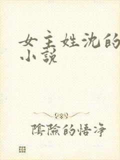 女主姓沈的古言小说
