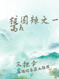 校园辣文一对一高h