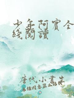 少年阿宾全本在线阅读