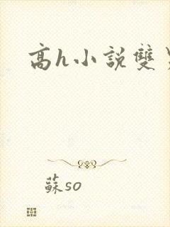 高h小说双男主