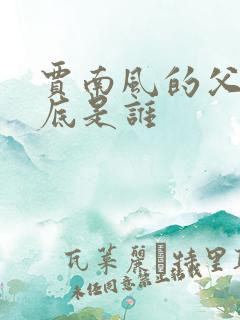 贾南风的父亲到底是谁