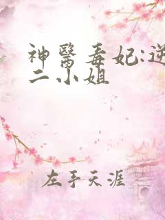 神医毒妃:逆天二小姐