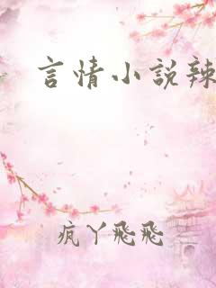 言情小说辣文h
