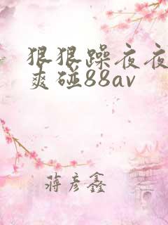 狠狠躁夜夜躁人爽碰88av