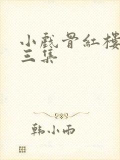小戏骨红楼梦第三集