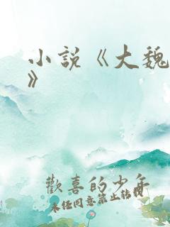 小说《大魏芳华》