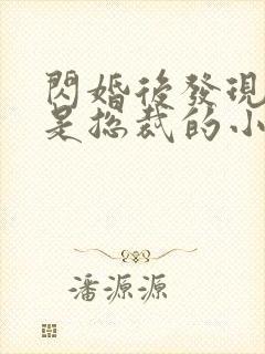 闪婚后发现老公是总裁的小说