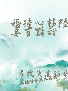 婚后心动陆少追妻有点甜