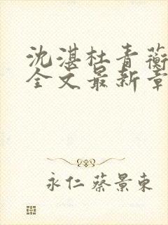 沈湛杜青蘅小说全文最新章节更新