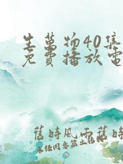 生万物40集全免费播放电视剧