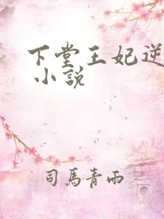 下堂王妃逆袭记 小说