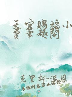 天官赐福小说免费笔趣阁