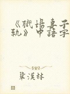 《职场妻子的出轨》中语字主演电视