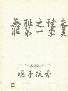 无耻之徒未删减版第一季美版