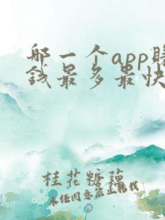 哪一个app赚钱最多最快?
