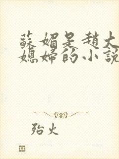 苏媚是赵大宝儿媳妇的小说