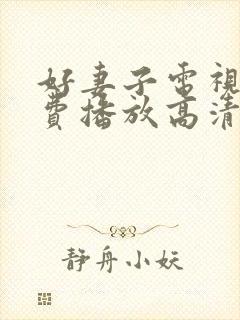 好妻子电视剧免费播放高清