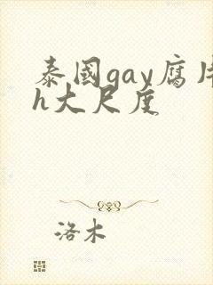 泰国gay腐片h大尺度