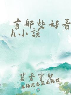 有哪些好看的高h小说