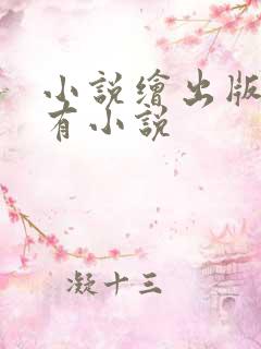 小说绘出版的所有小说