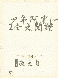 少年阿宾1~72全文阅读