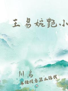 王易婉艳小说