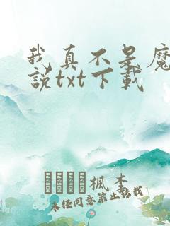 我真不是魔神小说txt下载