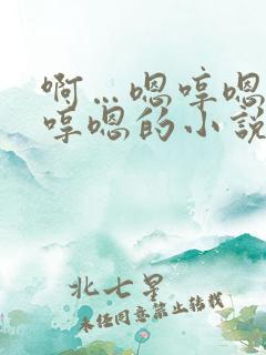 啊…嗯哼嗯哼嗯哼嗯的小说